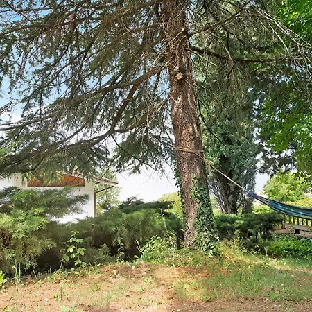 Glicine Villa San Zeno di Montagna